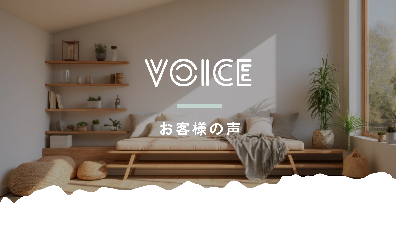 voice