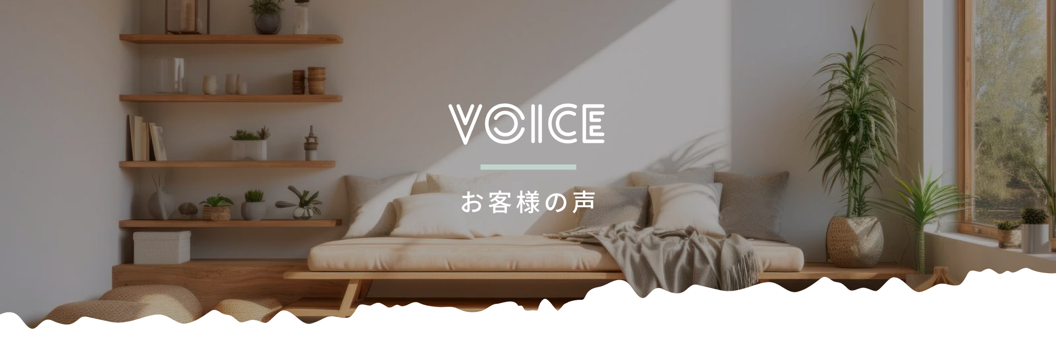 voice